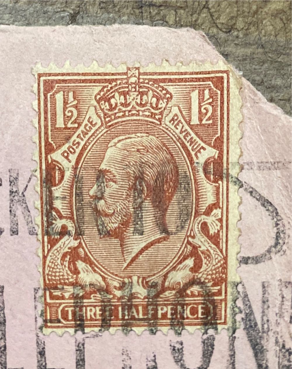 North American Wildlife: Ringtail