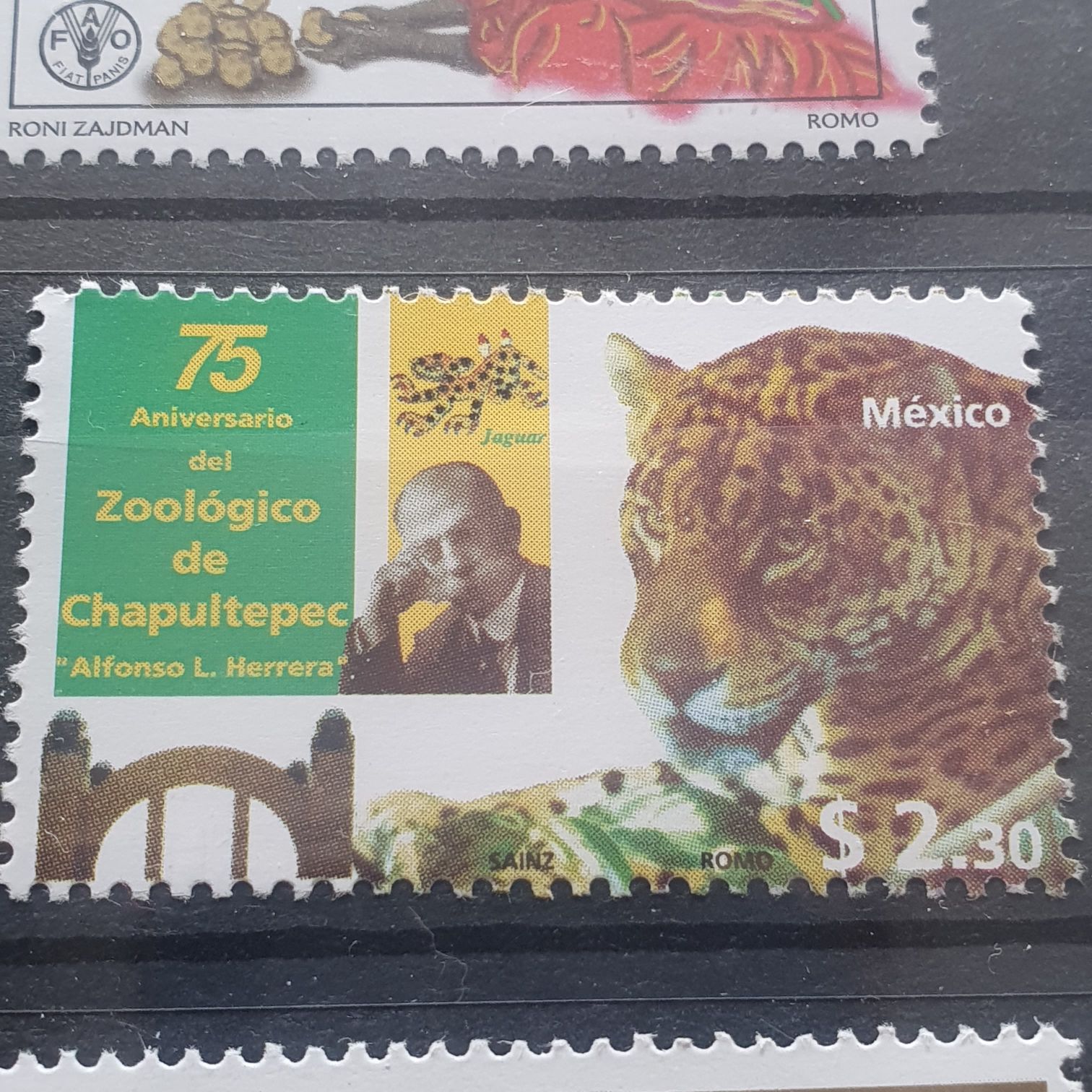 Unidos Para Conservación El Colegio De La Frontera Sur