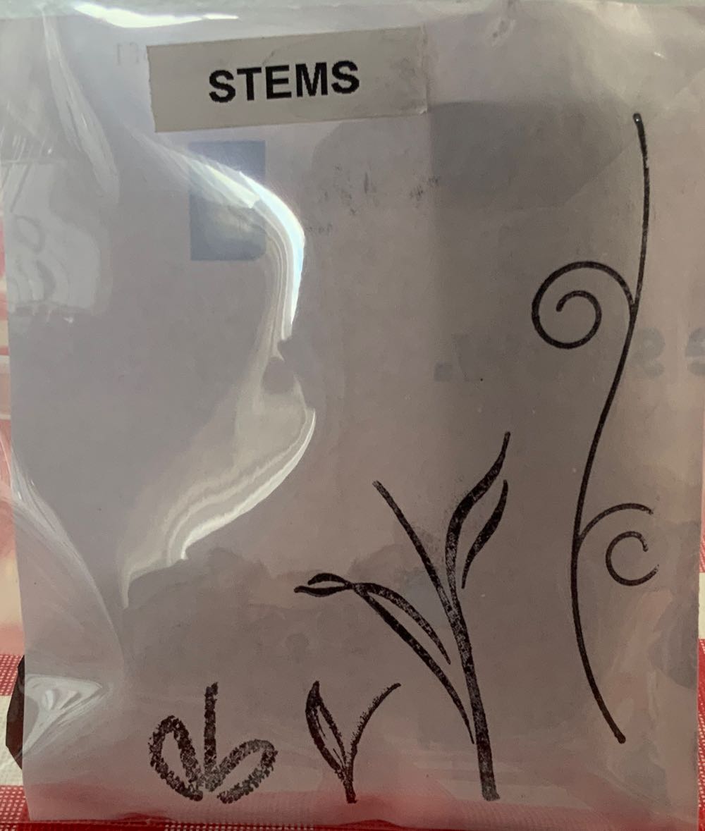 Castello Di Pavia Castle