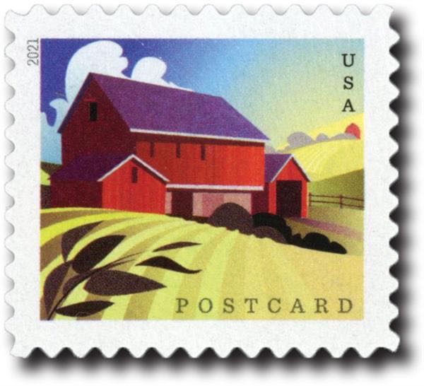 Beautiful Blooms: Chrysanthemum