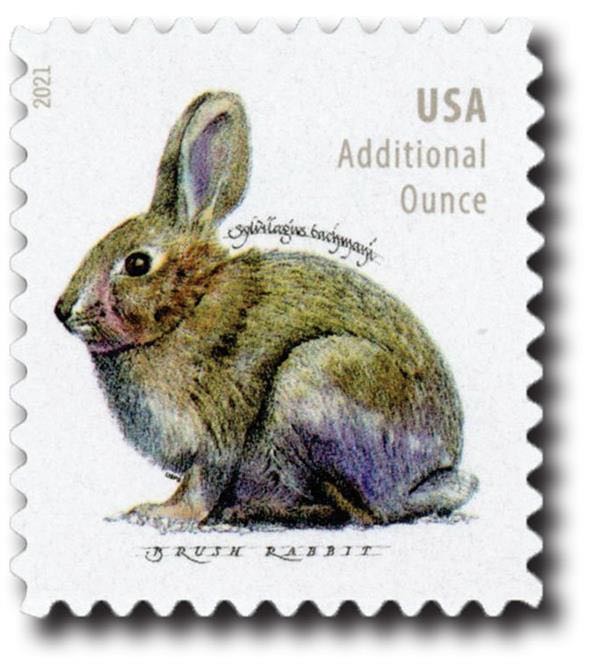 Memo Pad Collage Series 50 Pcs | Import Japanese Products ...