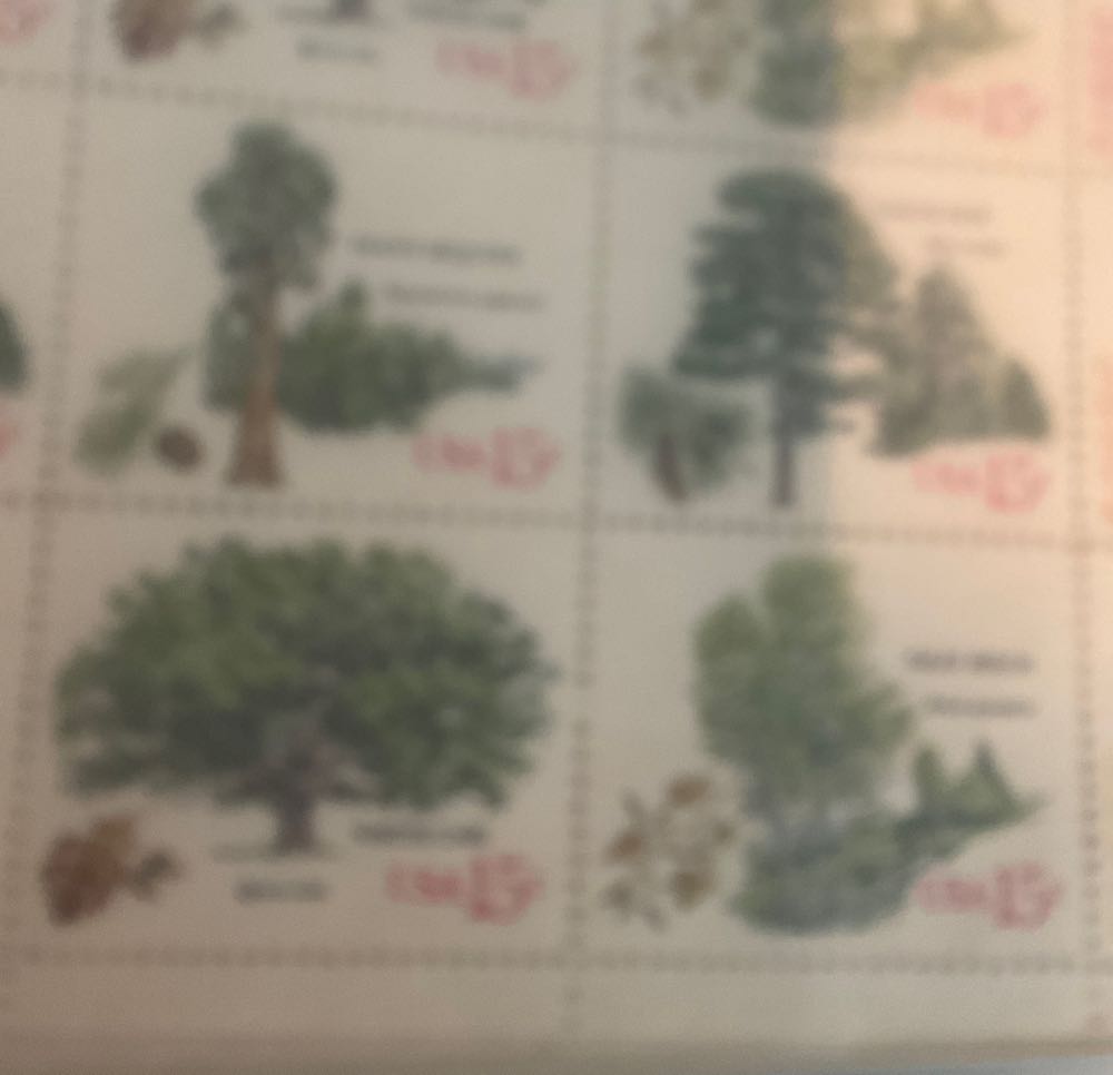 Tree  stamp collectible - Main Image 2