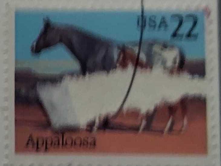 Horses: Appaloosa  stamp collectible - Main Image 2