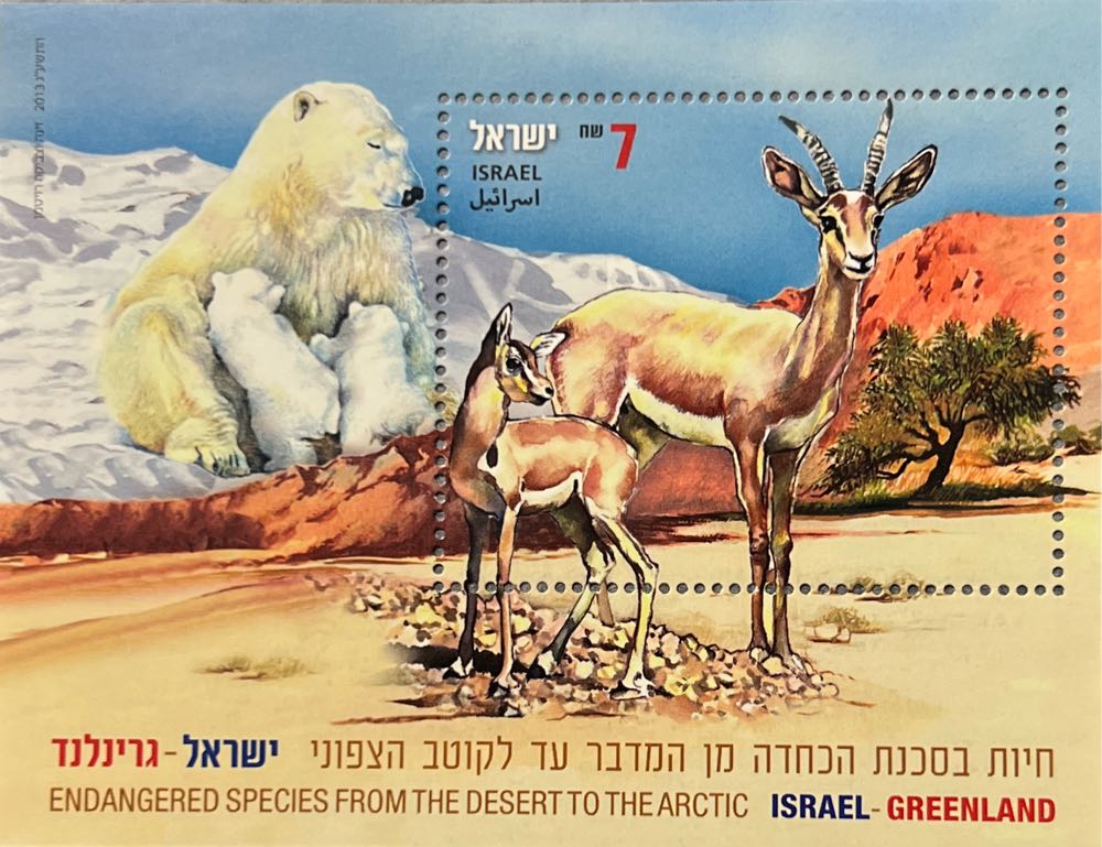 Vintage Ty Beanie Baby Butch Beanie Babies Butch Dog 9 Inch Mint With Tags