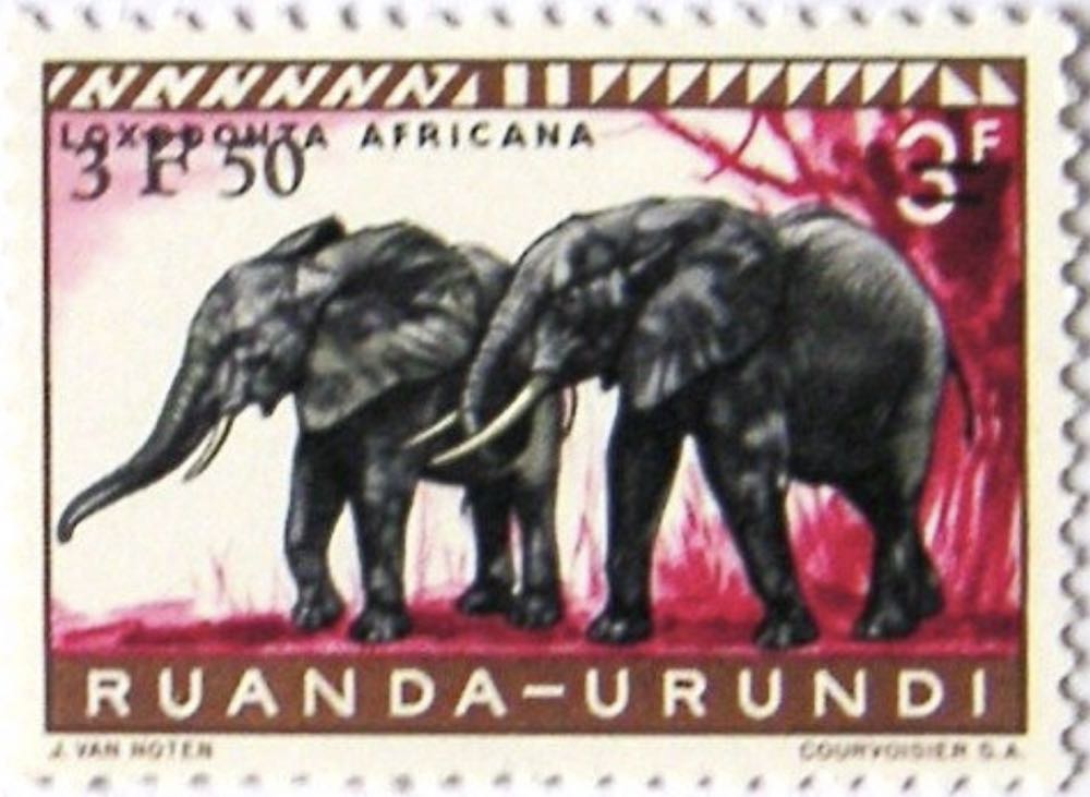 Dit Is Dikkie Dik: Een Flapjesboek Dikkie Dik 0