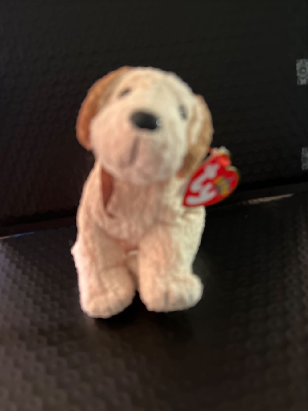 Knoxville Worlds Fair: Synthetic Fuels