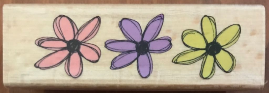 Four-eyed Butterflyfish