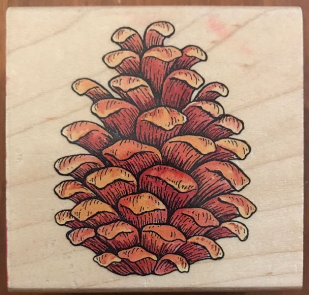 Masters Of American Photography: Carleton E Watkins