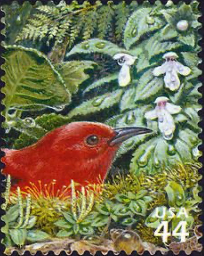 4485a. Holiday Evergreens [FOREVER]