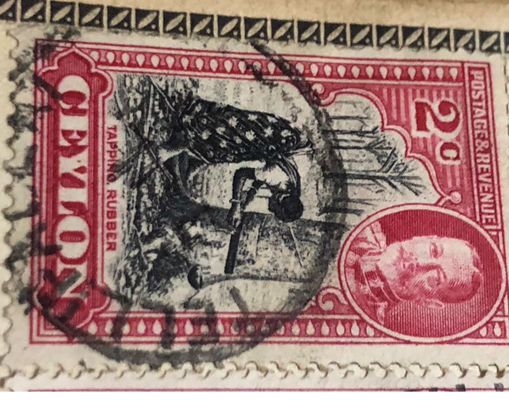 Luke Retired Rare Vintage Ty Beanie Baby Luke The Black Labrador Puppy Dog 1999 New