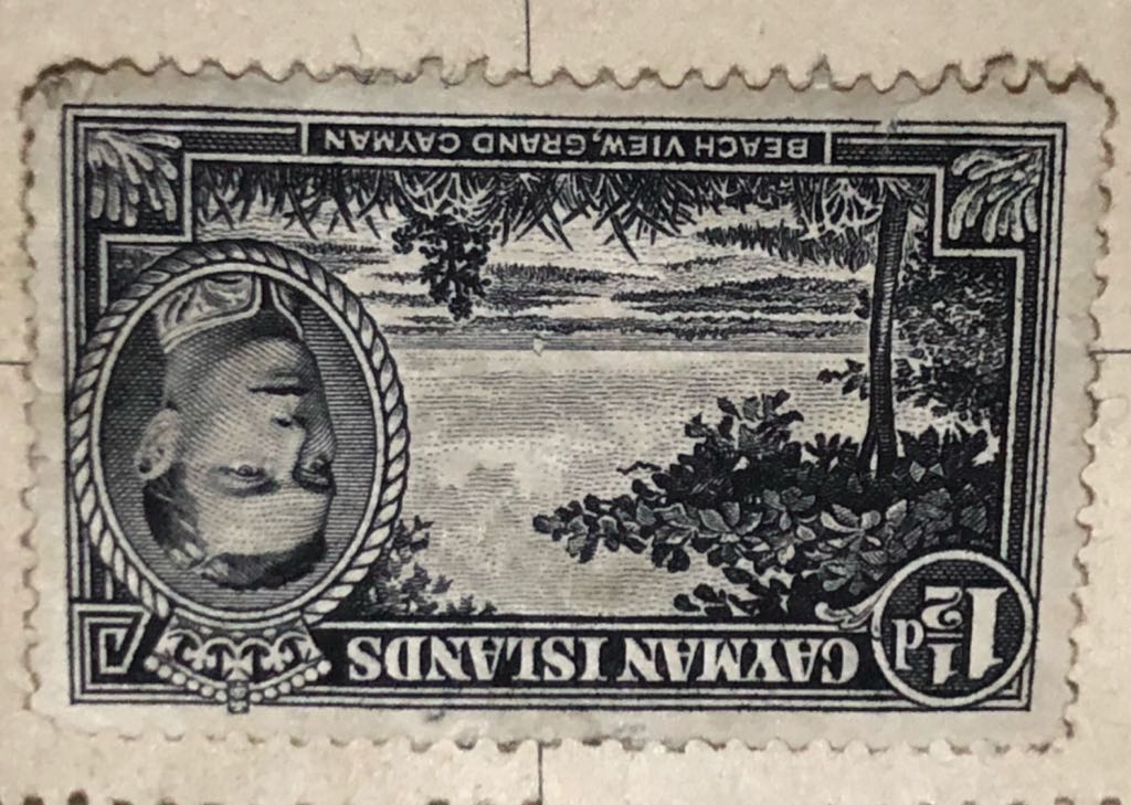 Butterflies And Moths