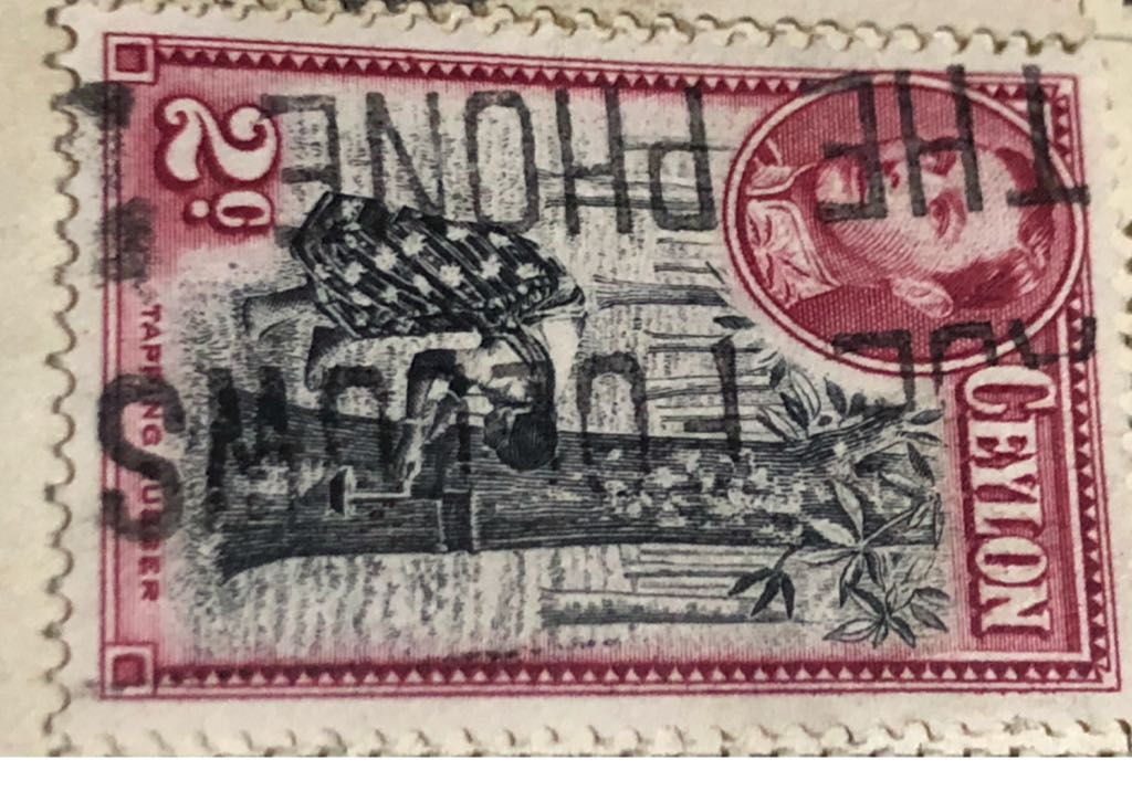 Lorsch Hess Large Format