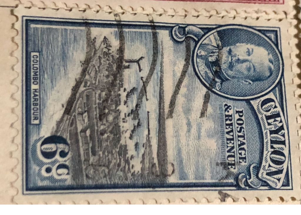 Traditional Christmas: Madonna And Child