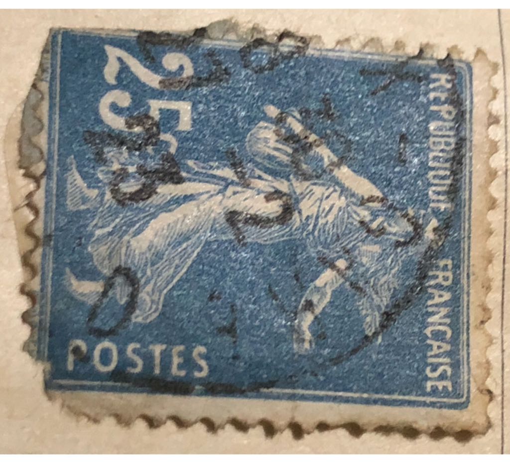 Wild Orchids: Platanthera Leucophaea