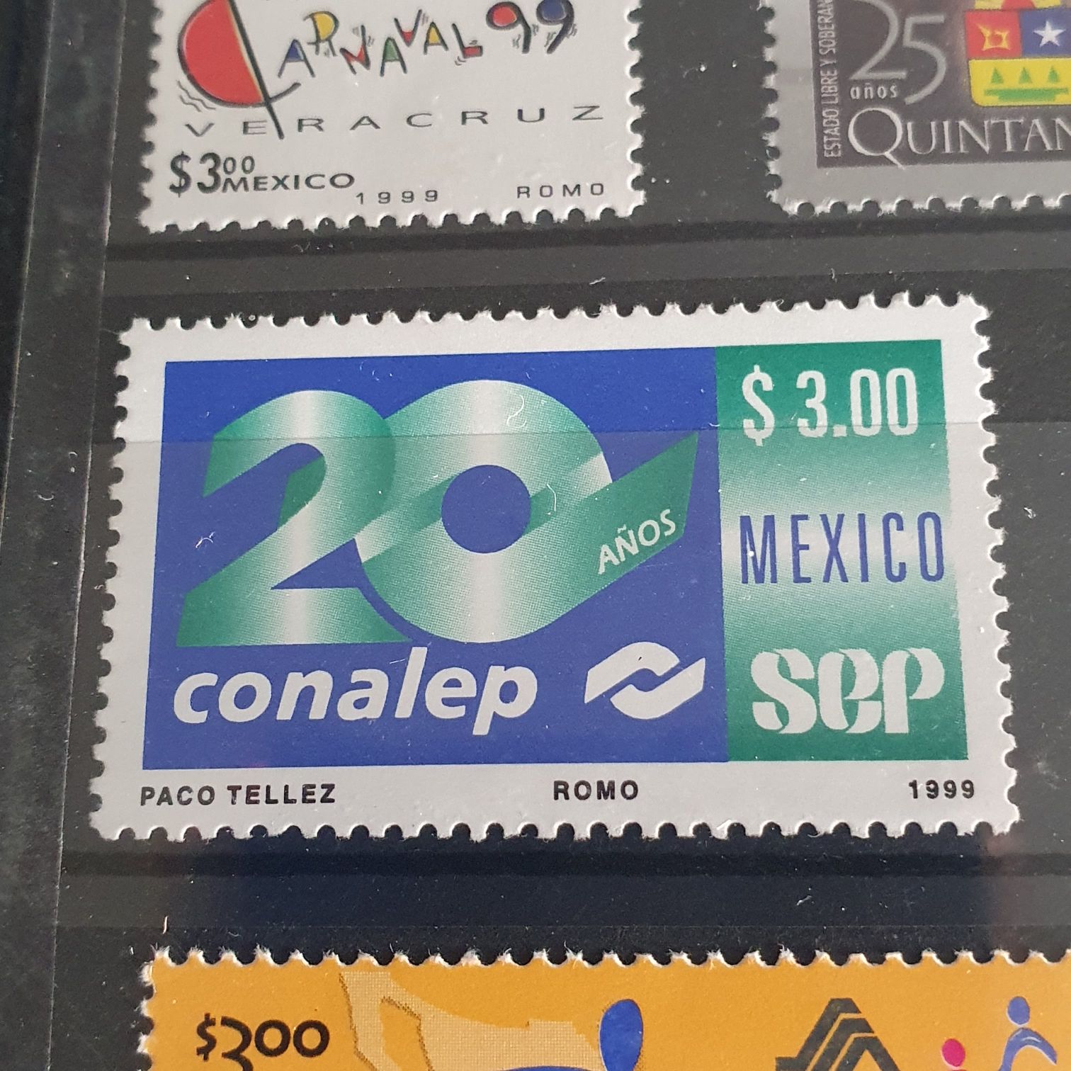 Christmas Morning Chicks