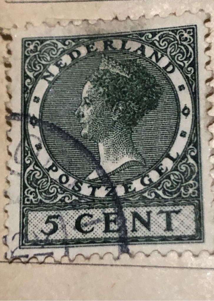 Butterflies And Moths