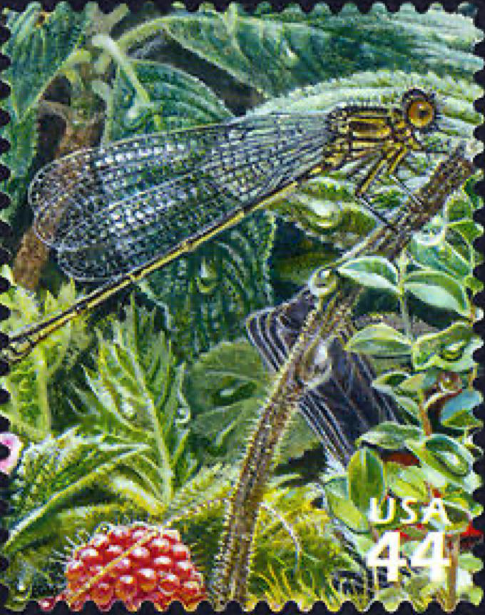 Banco Nacional De México