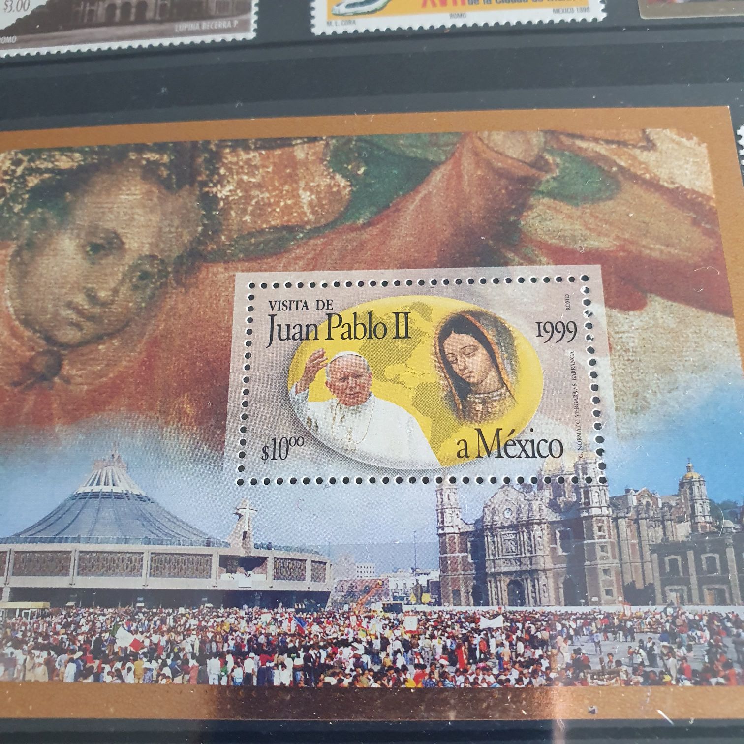 Light Brown Kangaroos