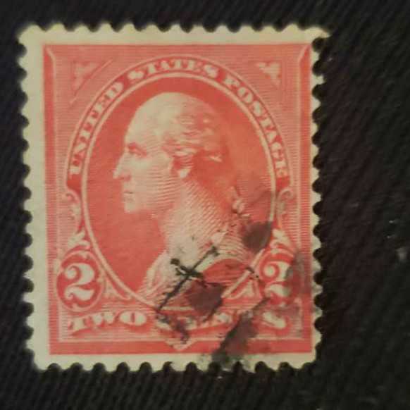 Sheep Farmer - Shepherd