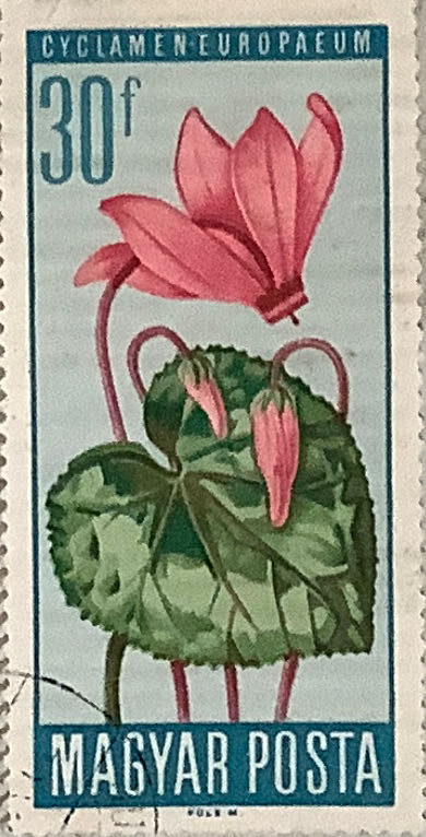 New Daily Stamps