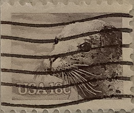 Pastry Toast & Cookies