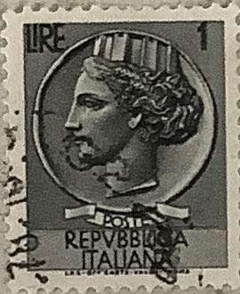 Butterflies And Moths