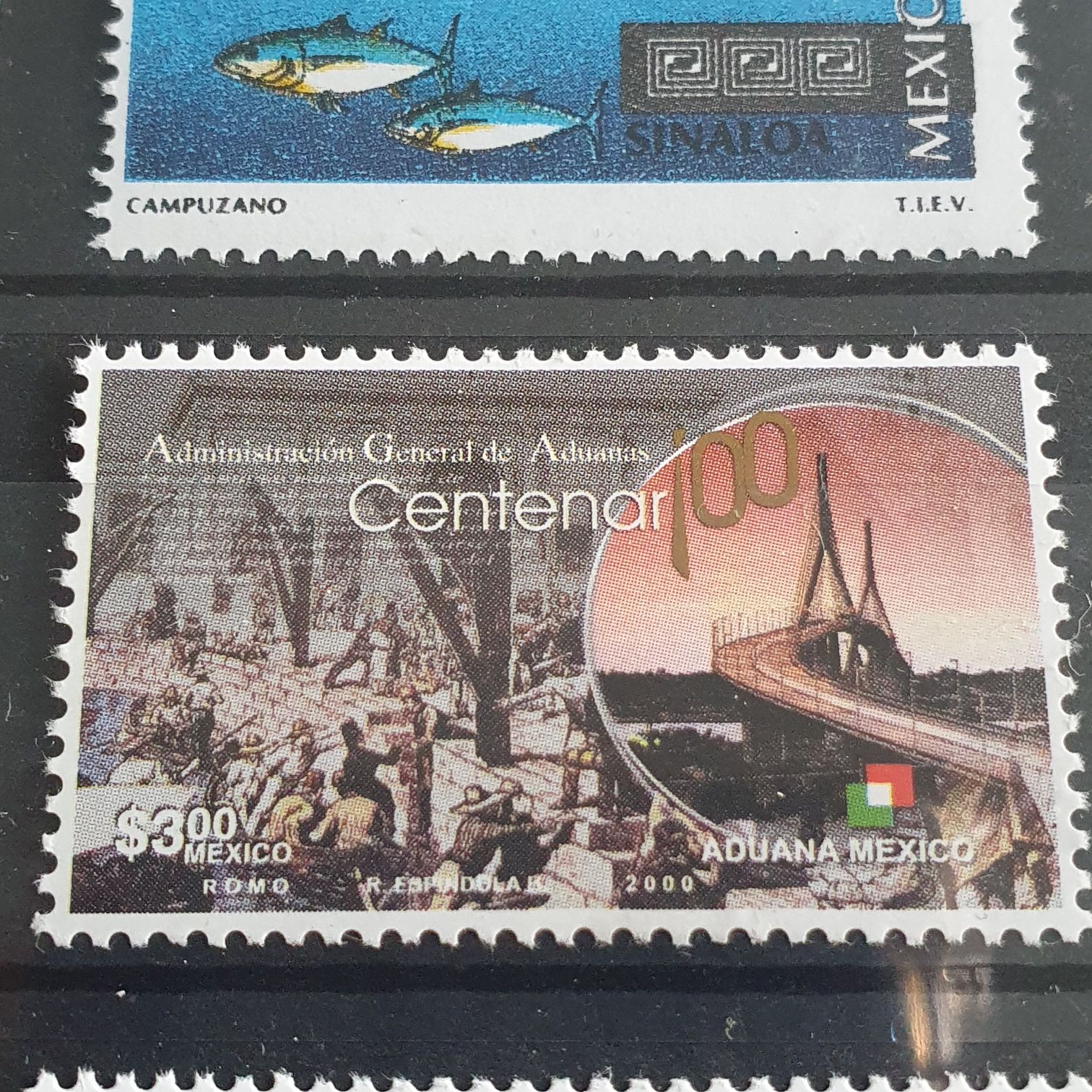 México Conserva Bosques De Niebla