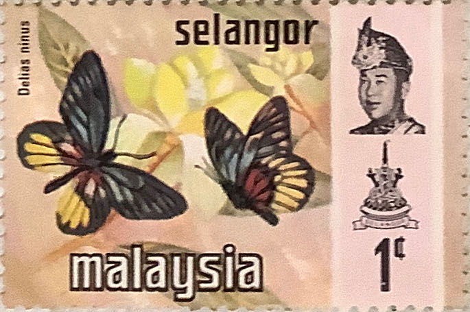 Airmail Airplane And Envelope