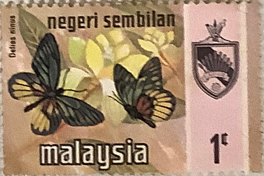 Streetcars: Bobtail Horsecar