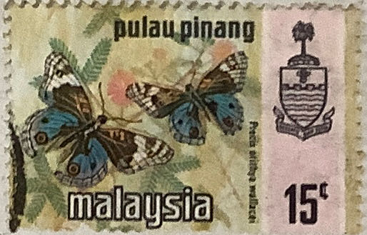 American Architecture: Gropius House