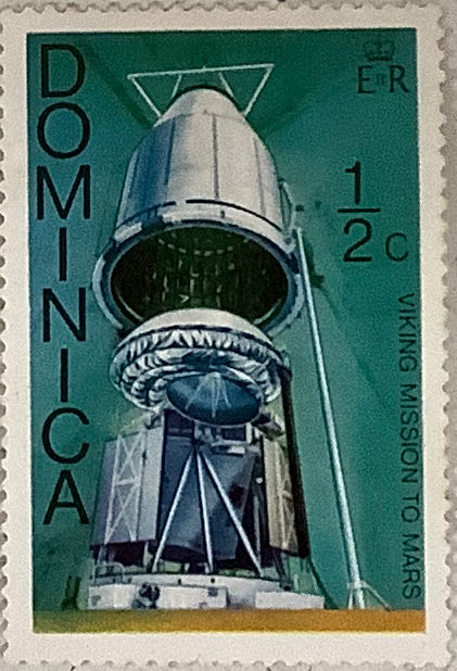 Coral Reefs: Brain Coral