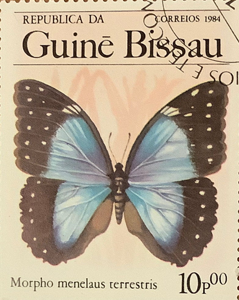 Mosaic Football Trading Card Blaster Box 32 Cards Brand New Factory Sealed Panini Mosaic Nfl Football Blaster Boxes