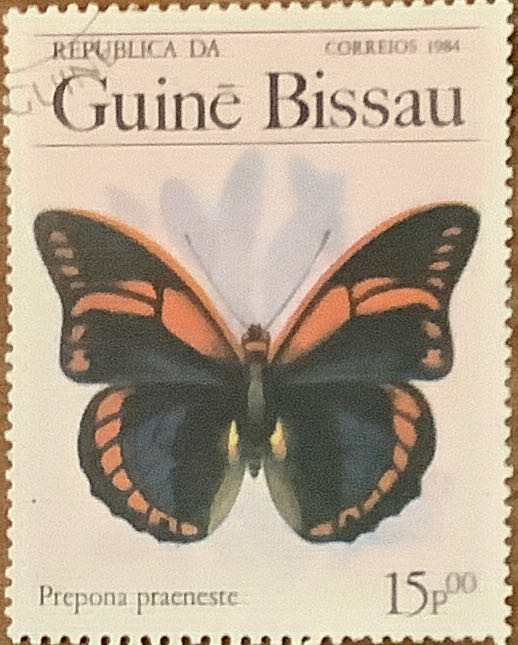 Great American Series: Earl Warren