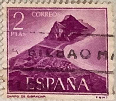 Two Sunflowers Girasol