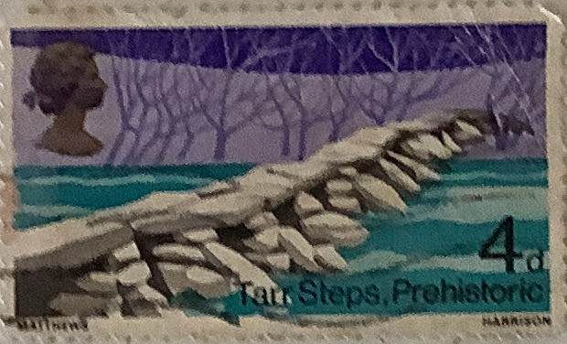 Coastal Birds: Spoonbill