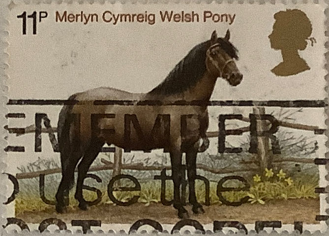 Batman TV Premiere Jan. 12, 1966