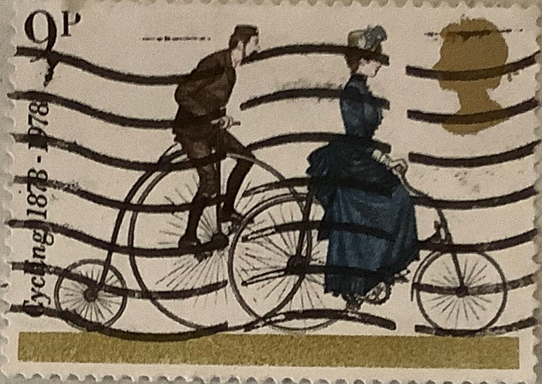 Butterflies And Moths