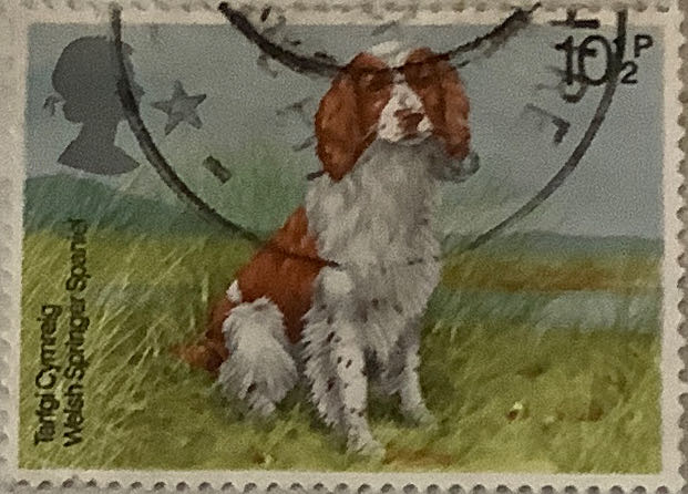 Dinosaur In Prehistoric Park