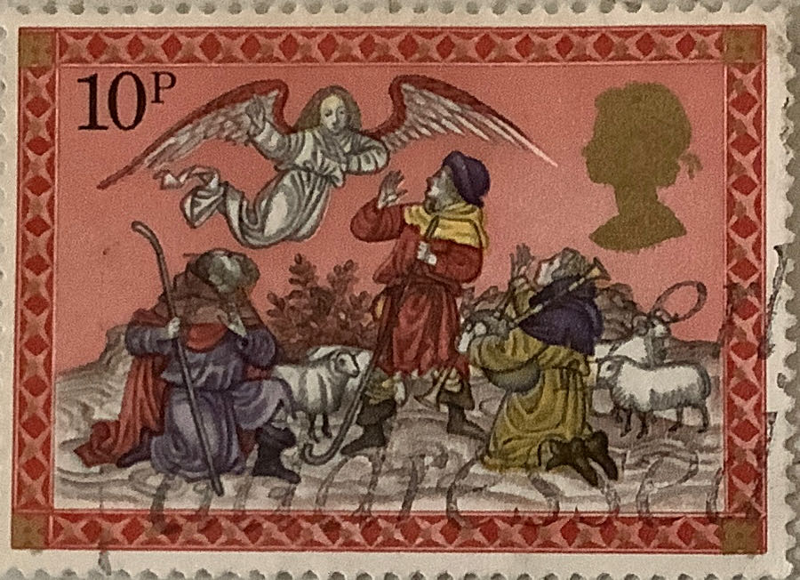 Beanie Baby Weenie The Wiener Dog Errors Very Rare Ty Beanie Babies Weenie Dachshund 4013 Style 4013 Dachshund Dog Toy Ty Weenie Dog Ty