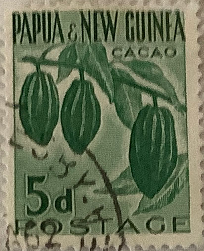 North American Wildlife: Raccoon