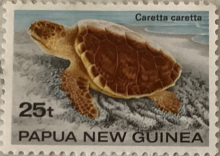 Classic Cars: 1932 Packard