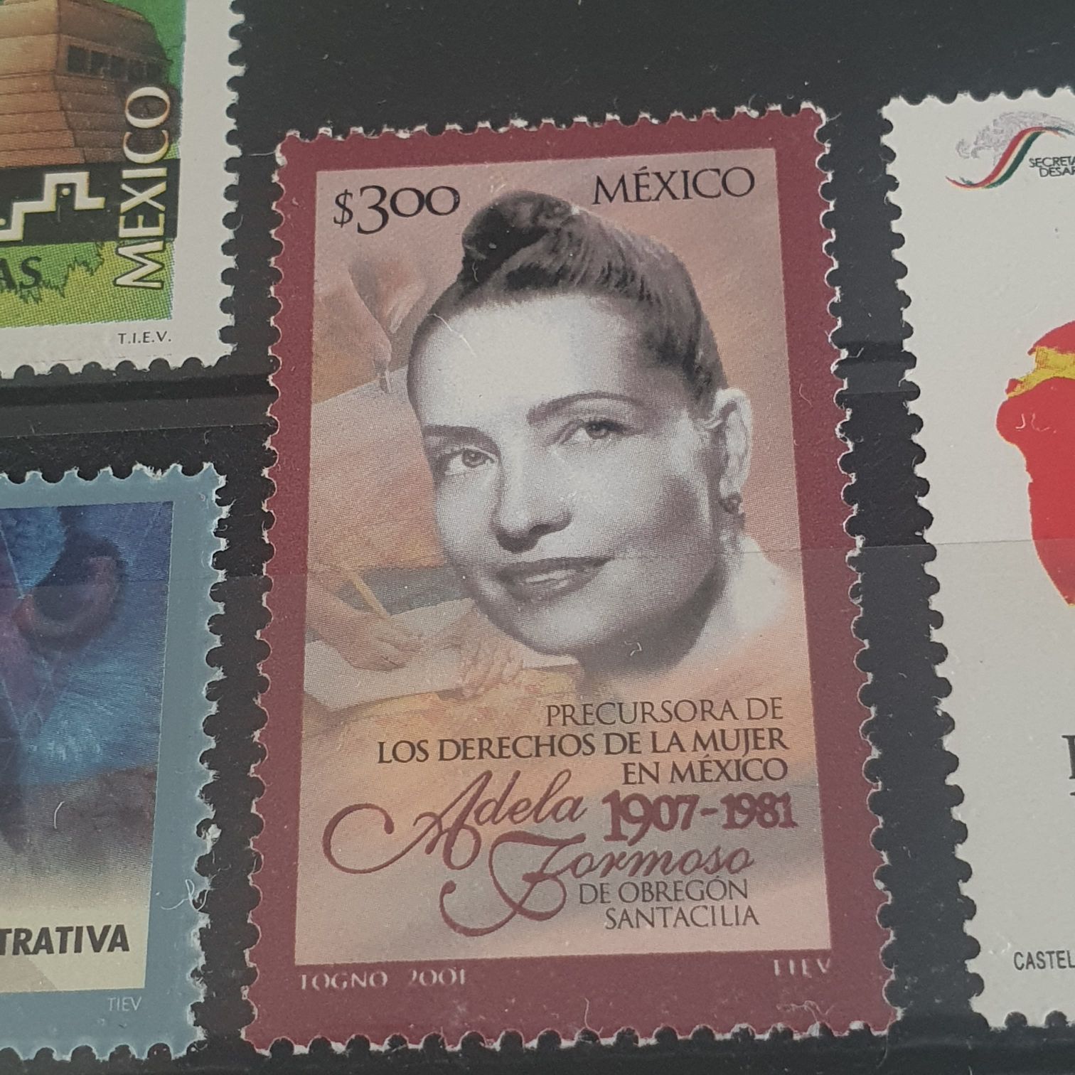 Precursora De Los Derechos De La Mujer En México  stamp collectible - Main Image 2