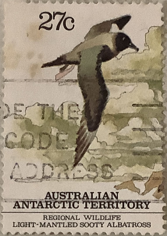 Aviator Playing Cards Case Of 12