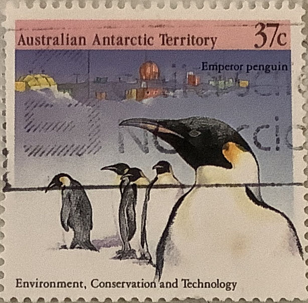 Spreading Pogonia Orchid