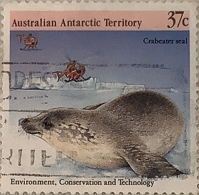 Radio Gymnastics Very Thin Paper