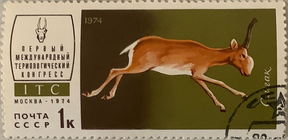 Christmas Clear & Die