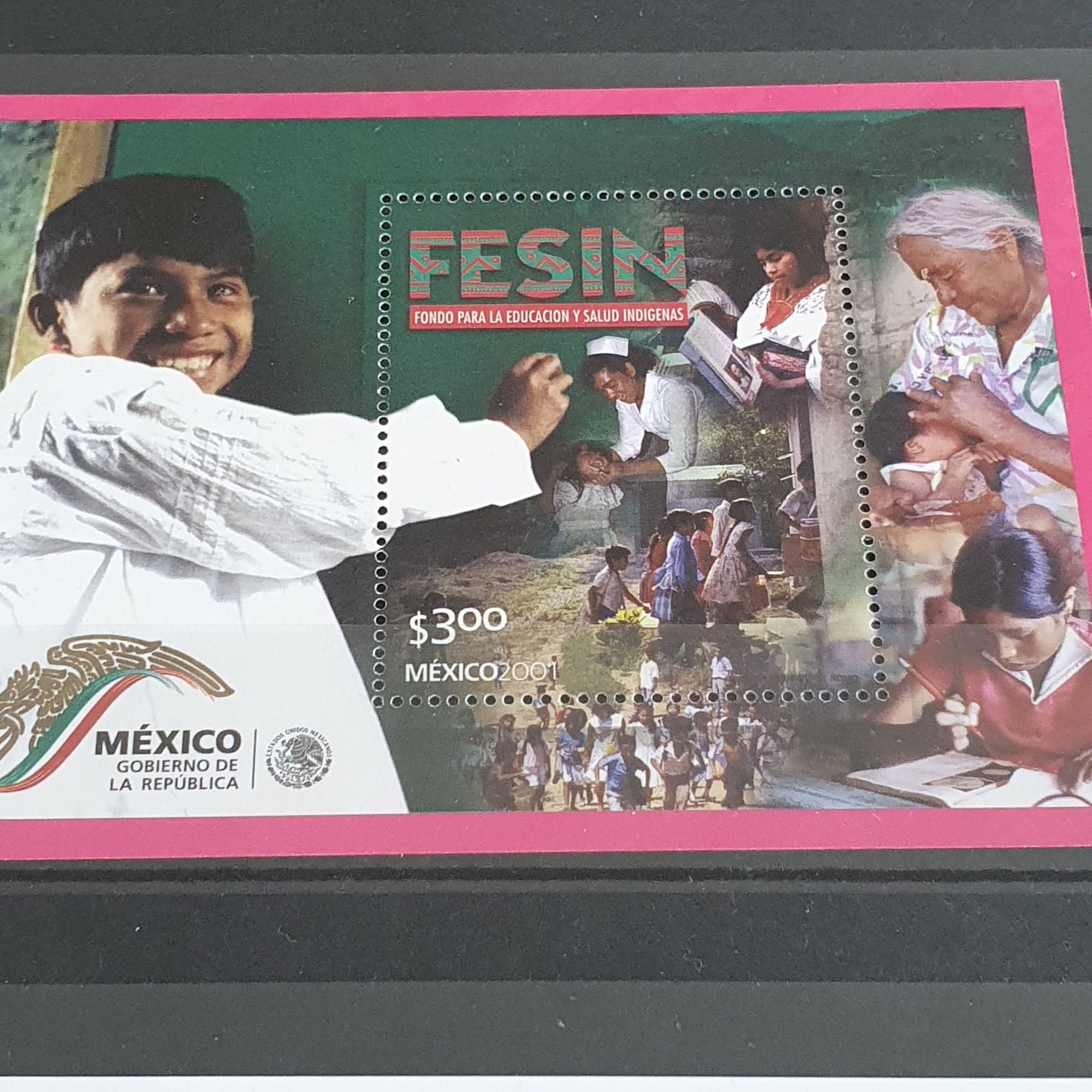 FESIN Fondo Para La Educación Y Salud Indigenas  stamp collectible - Main Image 2