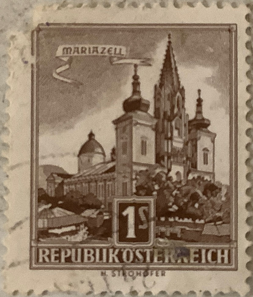 Junonia Orithyia Butterfly