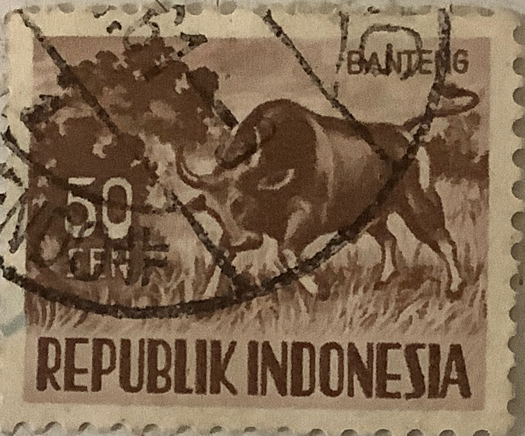 Contemporary Christmas: Jack In The Box 