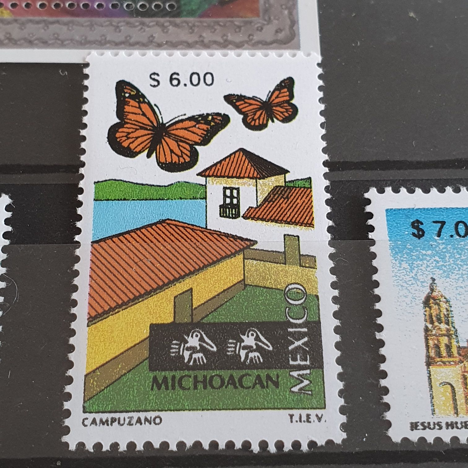 Scarlet Queen & Duke